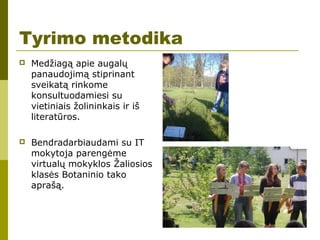 Tyrimo metodika
 Medžiagą apie augalų
panaudojimą stiprinant
sveikatą rinkome
konsultuodamiesi su
vietiniais žolininkais ir iš
literatūros.
 Bendradarbiaudami su IT
mokytoja parengėme
virtualų mokyklos Žaliosios
klasės Botaninio tako
aprašą.
 