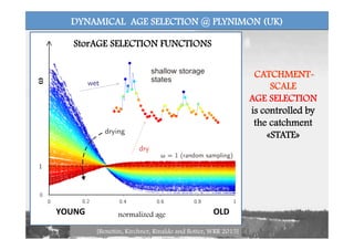 DYNAMICAL AGE SELECTION @ PLYNIMON (UK)
CATCHMENT-
SCALE
AGE SELECTION
is controlled by
the catchment
«STATE»
StorAGE SELECTION FUNCTIONS	
  
YOUNG	
   OLD	
  normalized age
ω
[Benettin, Kirchner, Rinaldo and Botter, WRR 2015]
 