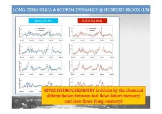 LONG-TERM SILICA & SODIUM DYNAMICS @ HUBBURD BROOK (US)
RIVER HYDROCHEMISTRY is driven by the chemical
differentiation between fast flows (short memory)
and slow flows (long-memory)
SILICON (Si) SODIUM (Na)
 