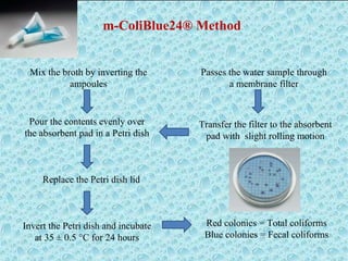 Bottle Water | PPT
