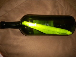 Bottle 002
