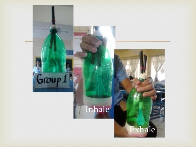 bottled balloons