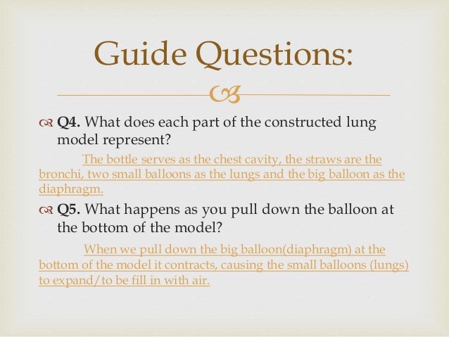 bottled balloons