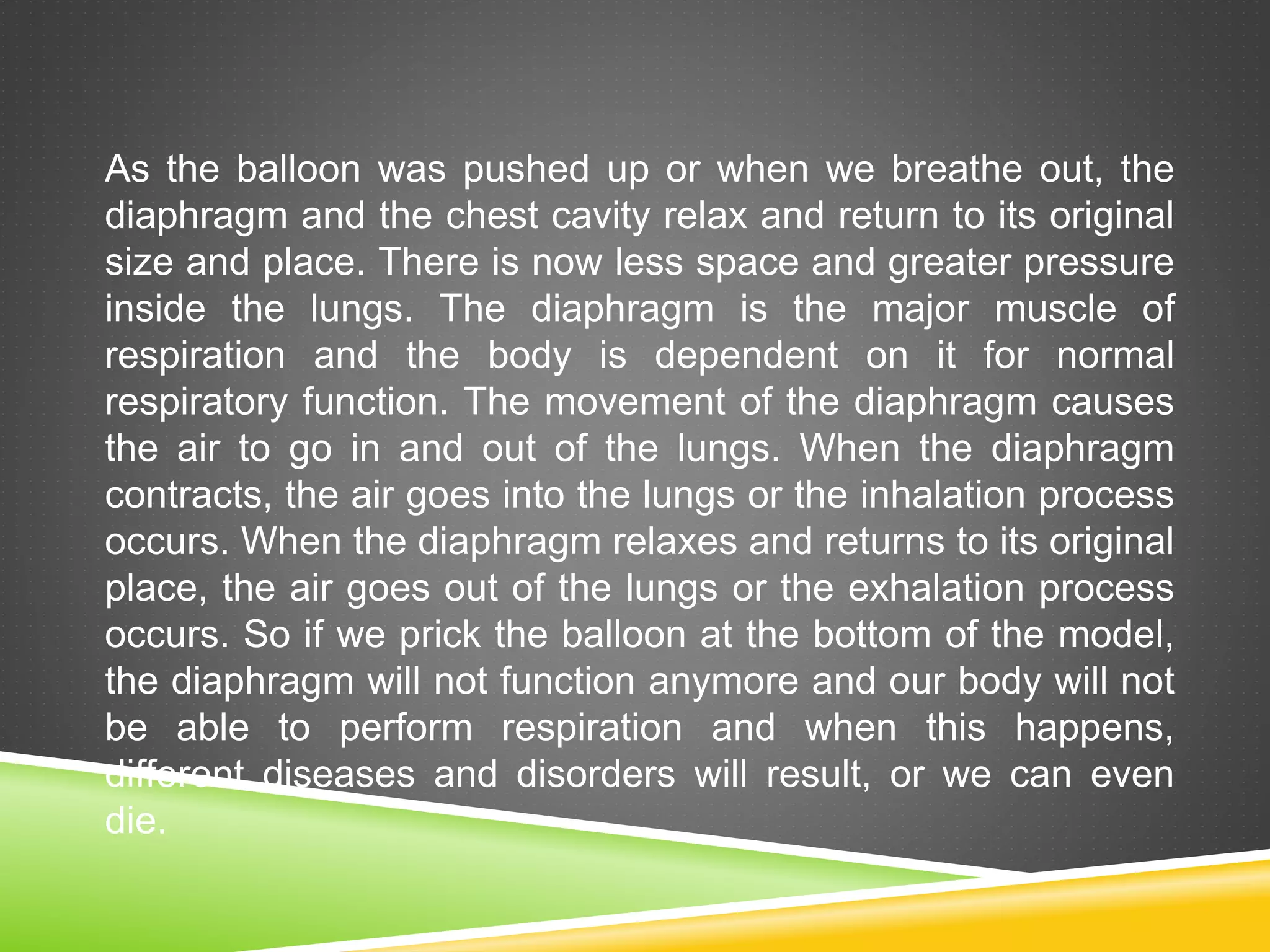 Chest Baloon Bottled balloons- group 4 | PPTX
