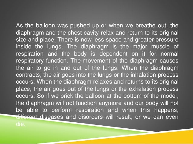 bottled balloons