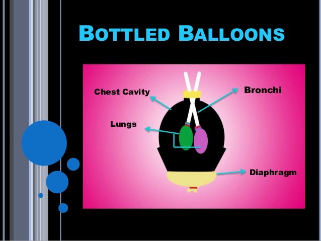 bottled balloons