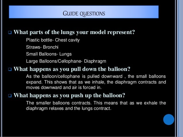 bottled balloons