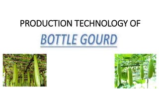 PRODUCTION TECHNOLOGY OF
 