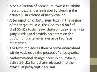 • Mode of action of botulinum toxin is to inhibit
neuromuscular transmission by blocking the
extracellular release of acetylcholine
• After injection of botulinum toxin in the region
of the target muscle, the C-terminal half of
the100-kDa toxin heavy chain binds externally to
gangliosides and protein acceptors on the
bouton of the terminal nerve cell surface
membrane.
• The toxin molecules then become internalized
within vesicles by the process of endocytosis.
• conformational change occur in neurotoxin,
active 50-kDa light chain released into the
cytosol of presynaptic bouton
 