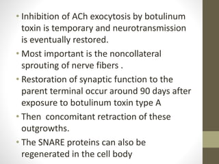 • Inhibition of ACh exocytosis by botulinum
toxin is temporary and neurotransmission
is eventually restored.
• Most important is the noncollateral
sprouting of nerve fibers .
• Restoration of synaptic function to the
parent terminal occur around 90 days after
exposure to botulinum toxin type A
• Then concomitant retraction of these
outgrowths.
• The SNARE proteins can also be
regenerated in the cell body
 