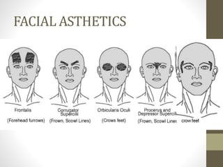 FACIAL ASTHETICS
 