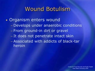 Center for Food Security and Public Health
Iowa State University 2004
Wound Botulism
• Organism enters wound
− Develops under anaerobic conditions
− From ground-in dirt or gravel
− It does not penetrate intact skin
− Associated with addicts of black-tar
heroin
 