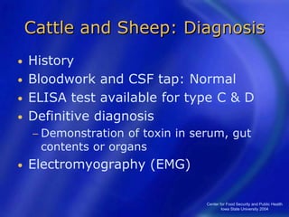 Center for Food Security and Public Health
Iowa State University 2004
Cattle and Sheep: Diagnosis
• History
• Bloodwork and CSF tap: Normal
• ELISA test available for type C & D
• Definitive diagnosis
− Demonstration of toxin in serum, gut
contents or organs
• Electromyography (EMG)
 