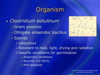 Center for Food Security and Public Health
Iowa State University 2004
Organism
• Clostridium botulinum
− Gram positive
− Obligate anaerobic bacillus
− Spores
 Ubiquitous
 Resistant to heat, light, drying and radiation
 Specific conditions for germination
• Anaerobic conditions
• Warmth (10-50oC)
• Mild alkalinity
 