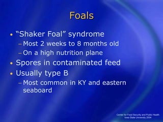 Center for Food Security and Public Health
Iowa State University 2004
Foals
• “Shaker Foal” syndrome
− Most 2 weeks to 8 months old
− On a high nutrition plane
• Spores in contaminated feed
• Usually type B
− Most common in KY and eastern
seaboard
 