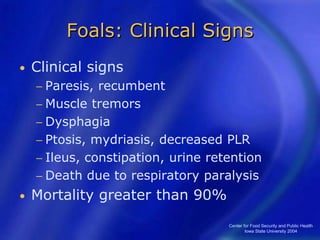Center for Food Security and Public Health
Iowa State University 2004
Foals: Clinical Signs
• Clinical signs
− Paresis, recumbent
− Muscle tremors
− Dysphagia
− Ptosis, mydriasis, decreased PLR
− Ileus, constipation, urine retention
− Death due to respiratory paralysis
• Mortality greater than 90%
 