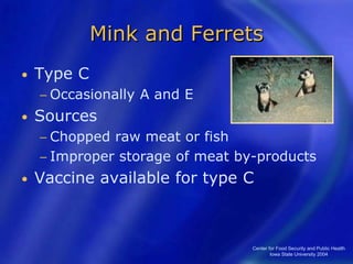 Center for Food Security and Public Health
Iowa State University 2004
Mink and Ferrets
• Type C
− Occasionally A and E
• Sources
− Chopped raw meat or fish
− Improper storage of meat by-products
• Vaccine available for type C
 