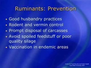 Center for Food Security and Public Health
Iowa State University 2004
Ruminants: Prevention
• Good husbandry practices
• Rodent and vermin control
• Prompt disposal of carcasses
• Avoid spoiled feedstuff or poor
quality silage
• Vaccination in endemic areas
 