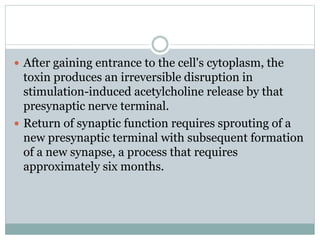  After gaining entrance to the cell's cytoplasm, the
toxin produces an irreversible disruption in
stimulation-induced acetylcholine release by that
presynaptic nerve terminal.
 Return of synaptic function requires sprouting of a
new presynaptic terminal with subsequent formation
of a new synapse, a process that requires
approximately six months.
 