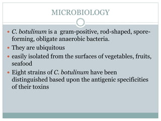 MICROBIOLOGY
 C. botulinum is a gram-positive, rod-shaped, spore-
forming, obligate anaerobic bacteria.
 They are ubiquitous
 easily isolated from the surfaces of vegetables, fruits,
seafood
 Eight strains of C. botulinum have been
distinguished based upon the antigenic specificities
of their toxins
 