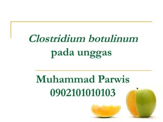 Clostridium botulinum
pada unggas
Muhammad Parwis
0902101010103
 