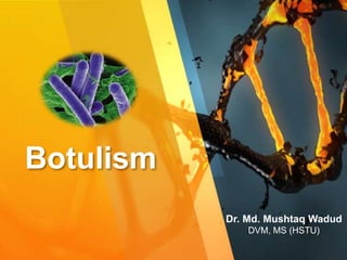 Botulism
Dr. Md. Mushtaq Wadud
DVM, MS (HSTU)
 