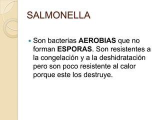 SALMONELLASon bacterias AEROBIAS que no forman ESPORAS. Son resistentes a la congelación y a la deshidratación pero son poco resistente al calor porque este los destruye. 