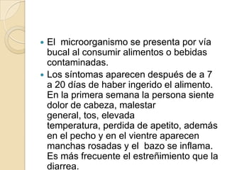 El  microorganismo se presenta por vía bucal al consumir alimentos o bebidas contaminadas. Los síntomas aparecen después de a 7 a 20 días de haber ingerido el alimento. En la primera semana la persona siente dolor de cabeza, malestar general, tos, elevada temperatura, perdida de apetito, además en el pecho y en el vientre aparecen manchas rosadas y el  bazo se inflama. Es más frecuente el estreñimiento que la diarrea. 