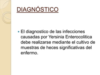 DIAGNÓSTICOEl diagnostico de las infecciones causadas por YersiniaEnterocolitica debe realizarse mediante el cultivo de muestras de heces significativas del enfermo.