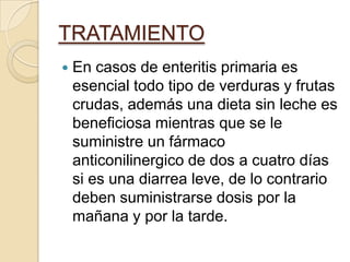 TRATAMIENTOEn casos de enteritis primaria es esencial todo tipo de verduras y frutas crudas, además una dieta sin leche es beneficiosa mientras que se le suministre un fármaco anticonilinergico de dos a cuatro días si es una diarrea leve, de lo contrario deben suministrarse dosis por la mañana y por la tarde.