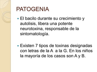 PATOGENIAEl bacilo durante su crecimiento y autolisis, libera una potente neurotoxina, responsable de la sintomatología.Existen 7 tipos de toxinas designadas con letras de la A  a la G. En los niños la mayoría de los casos son A y B.