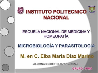 M. en C. Elba María Díaz Marino
 