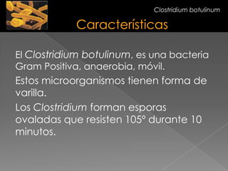 El Clostridium botulinum, es una bacteria
Gram Positiva, anaerobia, móvil.
Estos microorganismos tienen forma de
varilla.
Los Clostridium forman esporas
ovaladas que resisten 105º durante 10
minutos.
Clostridium botulinum
 