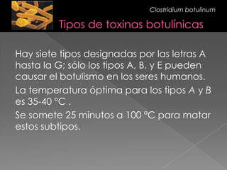 Hay siete tipos designadas por las letras A
hasta la G; sólo los tipos A, B, y E pueden
causar el botulismo en los seres humanos.
La temperatura óptima para los tipos A y B
es 35-40 °C .
Se somete 25 minutos a 100 °C para matar
estos subtipos.
Clostridium botulinum
 
