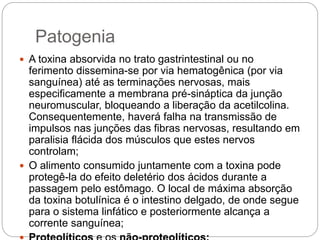 Patogenia
 A toxina absorvida no trato gastrintestinal ou no
ferimento dissemina-se por via hematogênica (por via
sanguínea) até as terminações nervosas, mais
especificamente a membrana pré-sináptica da junção
neuromuscular, bloqueando a liberação da acetilcolina.
Consequentemente, haverá falha na transmissão de
impulsos nas junções das fibras nervosas, resultando em
paralisia flácida dos músculos que estes nervos
controlam;
 O alimento consumido juntamente com a toxina pode
protegê-la do efeito deletério dos ácidos durante a
passagem pelo estômago. O local de máxima absorção
da toxina botulínica é o intestino delgado, de onde segue
para o sistema linfático e posteriormente alcança a
corrente sanguínea;
 