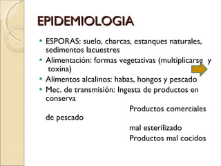 EPIDEMIOLOGIA ESPORAS: suelo, charcas, estanques naturales, sedimentos lacuestres  Alimentación: formas vegetativas (multiplicarse  y  toxina) Alimentos alcalinos: habas, hongos y pescado Mec. de transmisión: Ingesta de productos en conserva Productos comerciales de pescado mal esterilizado Productos mal cocidos 
