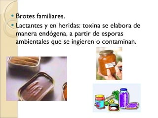 Brotes familiares.  Lactantes y en heridas: toxina se elabora de manera endógena, a partir de esporas ambientales que se ingieren o contaminan.  