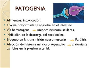PATOGENIA Alimentos: intoxicación. Toxina preformada se absorbe en el intestino. Vía hematogena  uniones neuromusculares. Inhibición de la descarga del acetilcolina. Bloqueo en la transmisión neuromuscular  Parálisis.  Afección del sistema nervioso vegetativo  arritmias y cambios en la presión arterial.  