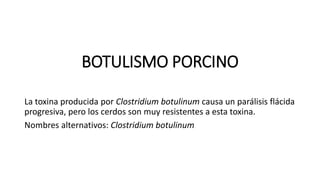 BOTULISMO PORCINO
La toxina producida por Clostridium botulinum causa un parálisis flácida
progresiva, pero los cerdos son muy resistentes a esta toxina.
Nombres alternativos: Clostridium botulinum
 