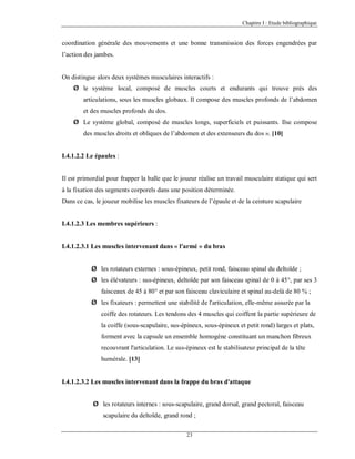 Chapitre I : Etude bibliographique

coordination générale des mouvements et une bonne transmission des forces engendrées par
l’action des jambes.

On distingue alors deux systèmes musculaires interactifs :
Ø le système local, composé de muscles courts et endurants qui trouve près des
articulations, sous les muscles globaux. Il compose des muscles profonds de l’abdomen
et des muscles profonds du dos.
Ø Le système global, composé de muscles longs, superficiels et puissants. Ilse compose
des muscles droits et obliques de l’abdomen et des extenseurs du dos ». [10]

I.4.1.2.2 Le épaules :

Il est primordial pour frapper la balle que le joueur réalise un travail musculaire statique qui sert
à la fixation des segments corporels dans une position déterminée.
Dans ce cas, le joueur mobilise les muscles fixateurs de l’épaule et de la ceinture scapulaire

I.4.1.2.3 Les membres supérieurs :

I.4.1.2.3.1 Les muscles intervenant dans « l'armé » du bras
Ø les rotateurs externes : sous-épineux, petit rond, faisceau spinal du deltoïde ;
Ø les élévateurs : sus-épineux, deltoïde par son faisceau spinal de 0 à 45°, par ses 3
faisceaux de 45 à 80° et par son faisceau claviculaire et spinal au-delà de 80 % ;
Ø les fixateurs : permettent une stabilité de l'articulation, elle-même assurée par la
coiffe des rotateurs. Les tendons des 4 muscles qui coiffent la partie supérieure de
la coiffe (sous-scapulaire, sus-épineux, sous-épineux et petit rond) larges et plats,
forment avec la capsule un ensemble homogène constituant un manchon fibreux
recouvrant l'articulation. Le sus-épineux est le stabilisateur principal de la tête
humérale. [13]

I.4.1.2.3.2 Les muscles intervenant dans la frappe du bras d'attaque
Ø les rotateurs internes : sous-scapulaire, grand dorsal, grand pectoral, faisceau
scapulaire du deltoïde, grand rond ;
23

 
