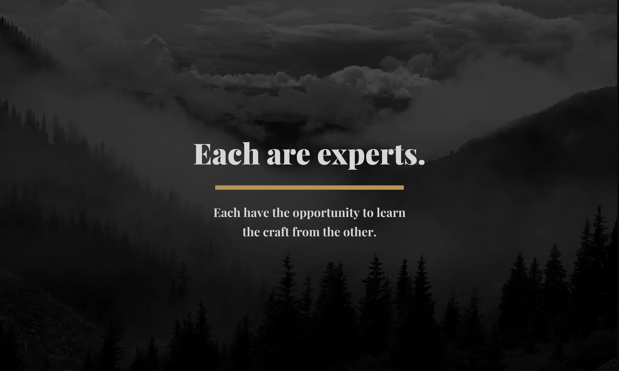 Each are experts. 
Each have the opportunity to learn 
the craft from the other. 
 