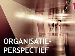 Directeur Sabel Online 