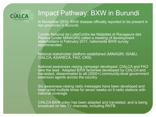 Impact Pathway: BXW in Burundi
In November 2010, BXW disease officially reported to be present in
two provinces in Burundi...