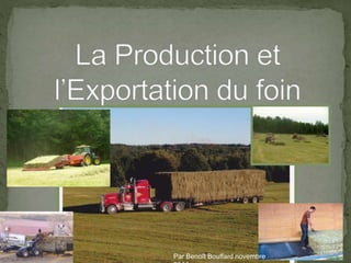 M. Benoit Bouffard - La Production et l’Exportation du foin