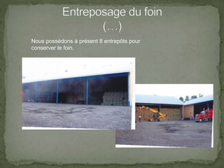 M. Benoit Bouffard - La Production et l’Exportation du foin