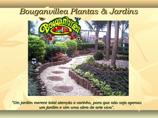 Bouganvillea Plantas & JardinsBouganvillea Plantas & Jardins
"Um jardim merece total atenção e carinho, para que não seja apenas"Um jardim merece total atenção e carinho, para que não seja apenas
um jardim e sim uma obra de arte viva".um jardim e sim uma obra de arte viva".
 