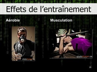 Effets de l’entraînementAérobieMusculation10