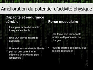 Amélioration du potentiel d’activité physiqueCapacité et endurance aérobieIl est plus facile d’être actif lorsque c’est facileUne VO² élevée facilite le quotidienUne endurance aérobie élevée permet de soutenir une dépense énergétique plus longtempsForce musculaireUne force plus importante facilite le déplacement de chargesPlus de charge déplacée, plus de kcal dépensées23