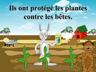 Ils ont protégé les plantes
contre les bêtes.
 