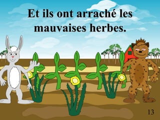 Et ils ont arraché les
mauvaises herbes.
13
 